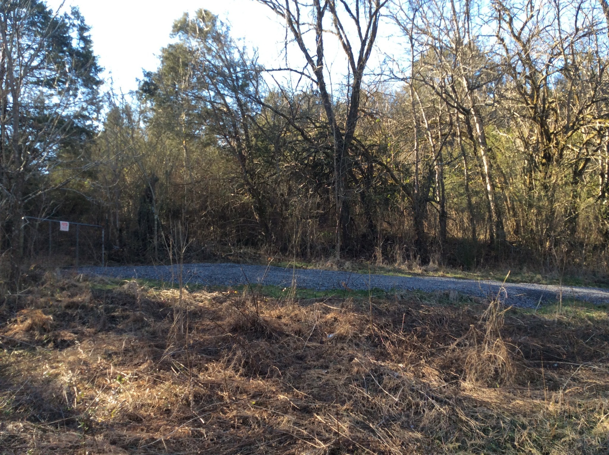 0 Hoovers Gap Frontage Road Christiana, TN 37037 - Photo 2 of 7 a view of backyard with green space