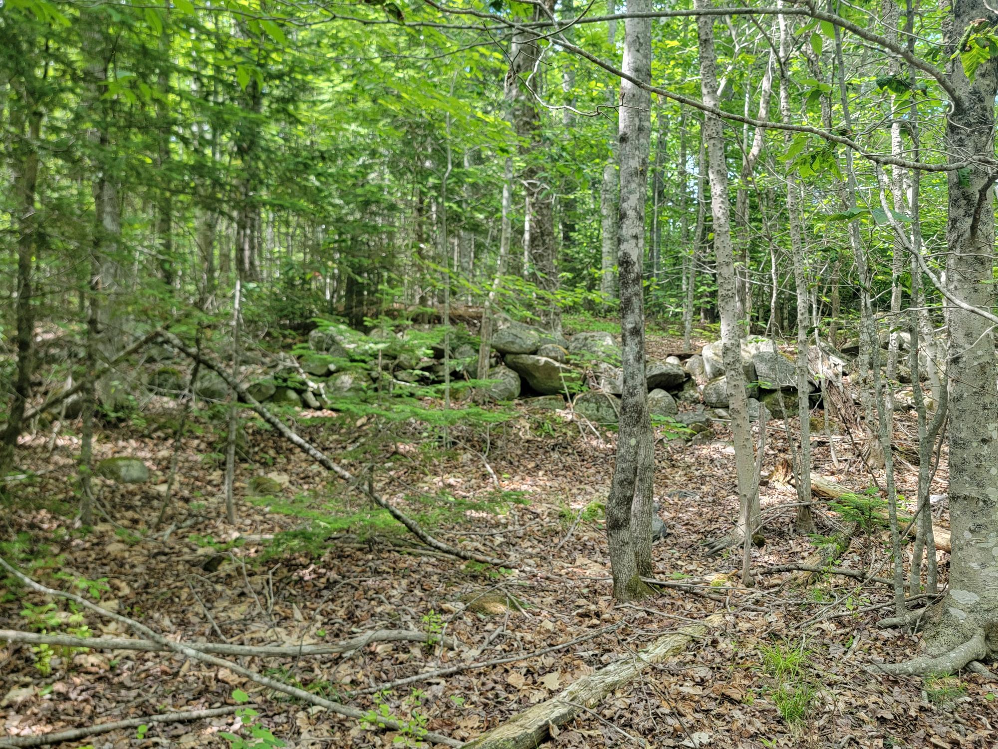 477 Hadley Mill Road Jackson, ME 04921 - Photo 19 of 32