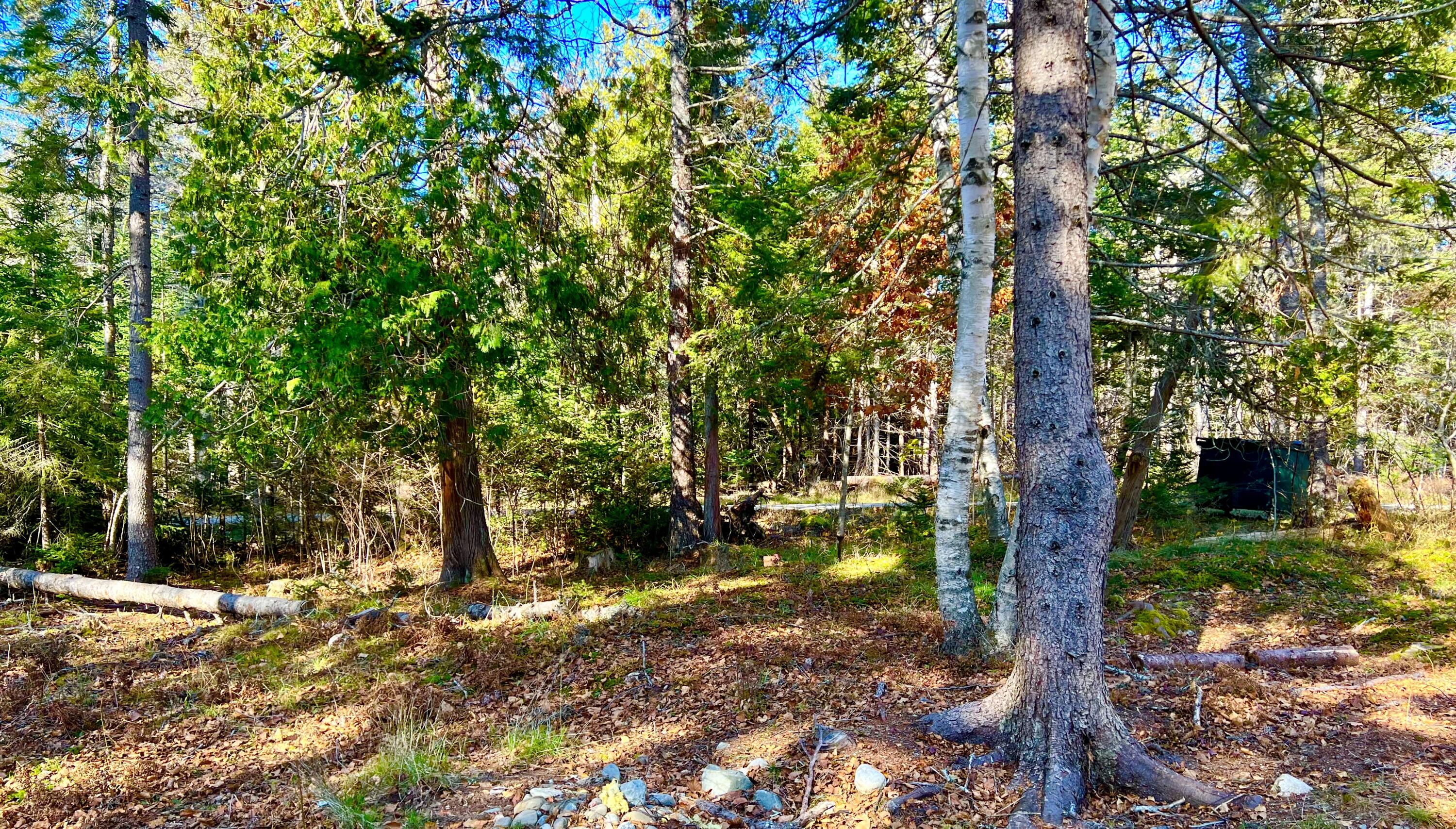 56 Dodge Point Road Tremont, ME 04612 - Photo 10 of 26 Land