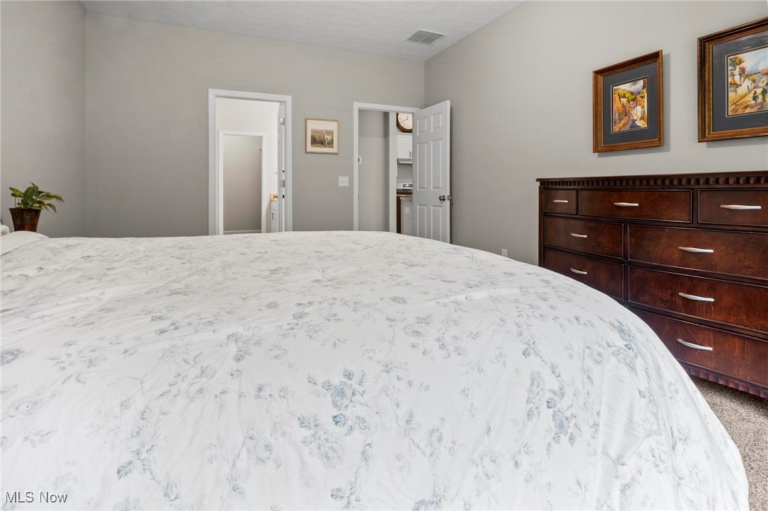 6824 Hatching Way North Ridgeville, OH 44039 - Photo 19 of 42 Bedroom with carpet flooring
