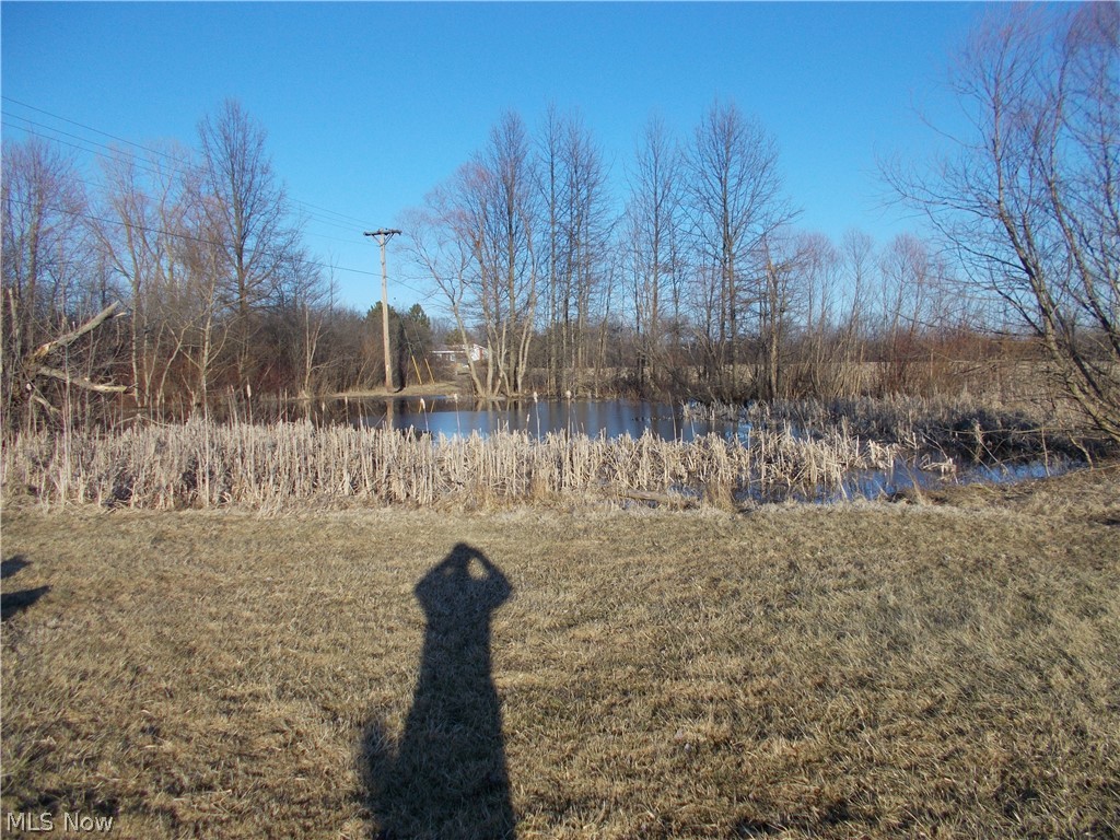 44417 Hallauer Road Oberlin, OH 44074 - Photo 29 of 30 Gallery Image 29
