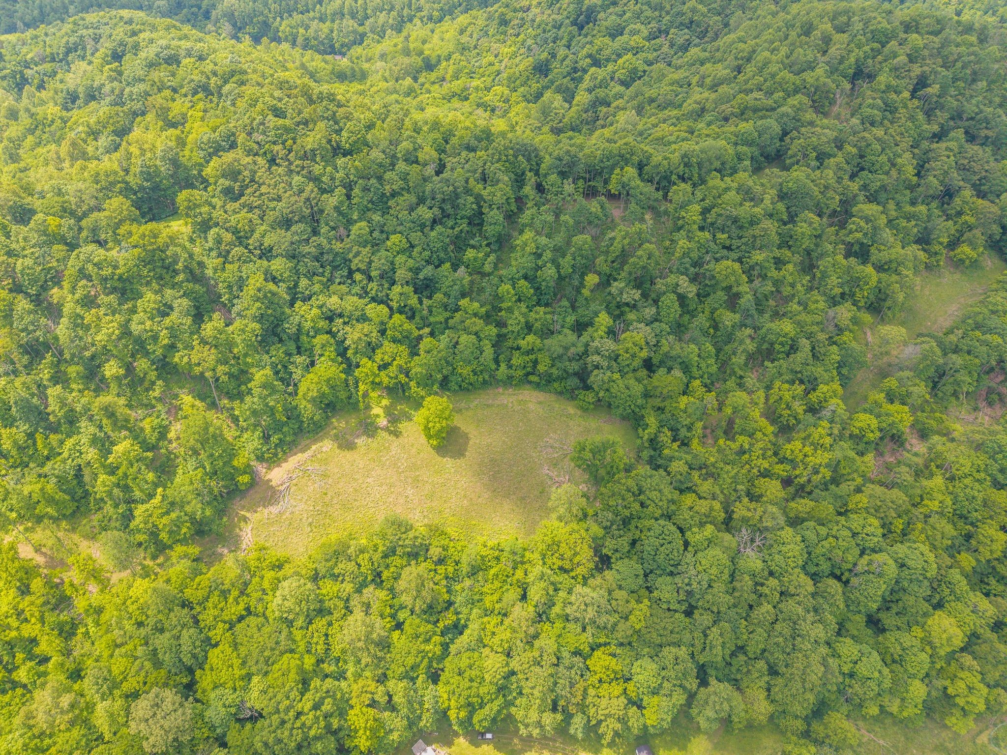 549 Hix Hollow Road Whitleyville, TN 38588 - Photo 35 of 38