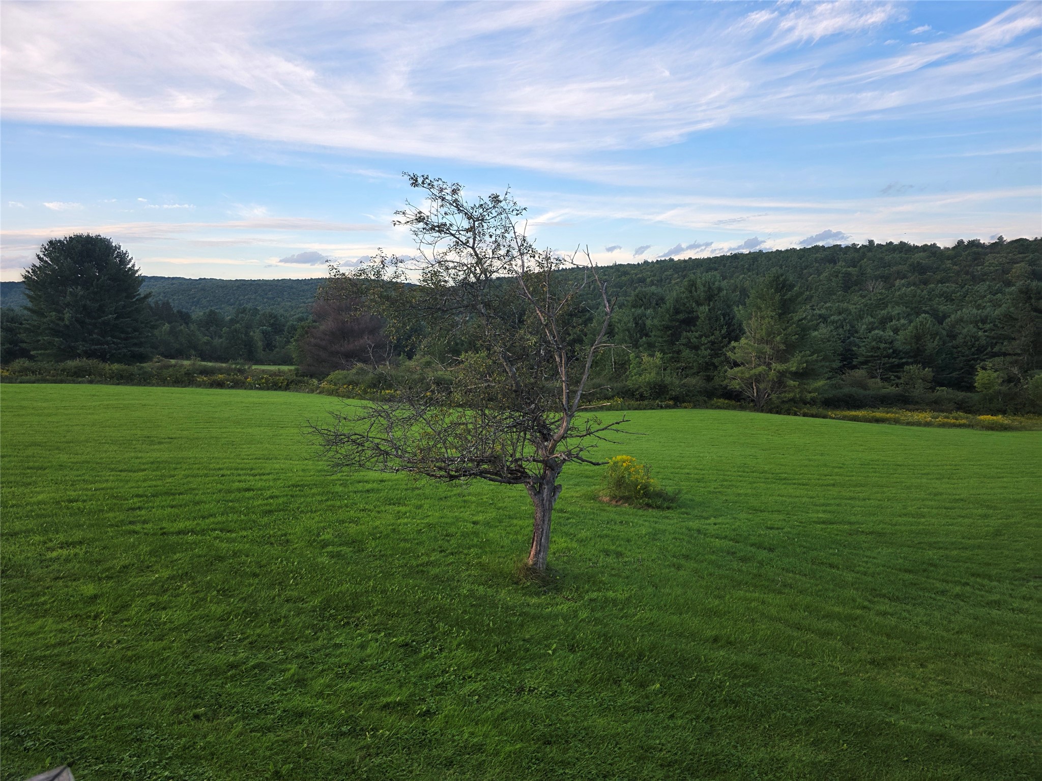 248 County 1 Road Chenango Forks, NY 13746 - Photo 27 of 44 Gallery Image 27