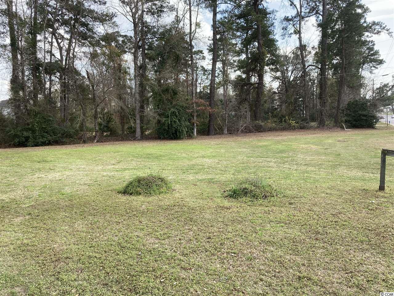 455 North Main Street Hemingway, SC 29554 - Photo 23 of 35