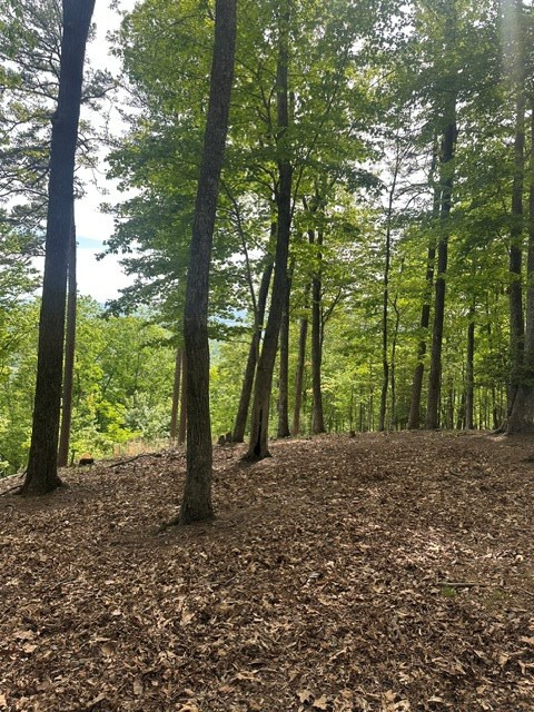Lot 4 Hampton Knob Murphy, NC 28906 - Photo 4 of 6