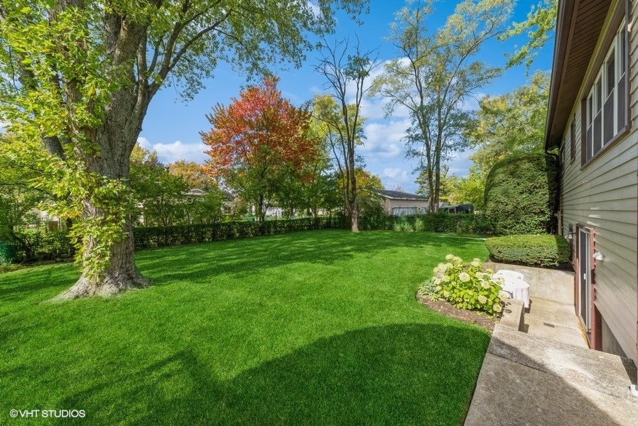 644 Raupp Boulevard Buffalo Grove, IL 60089 - Photo 17 of 23 a view of a garden with a large tree