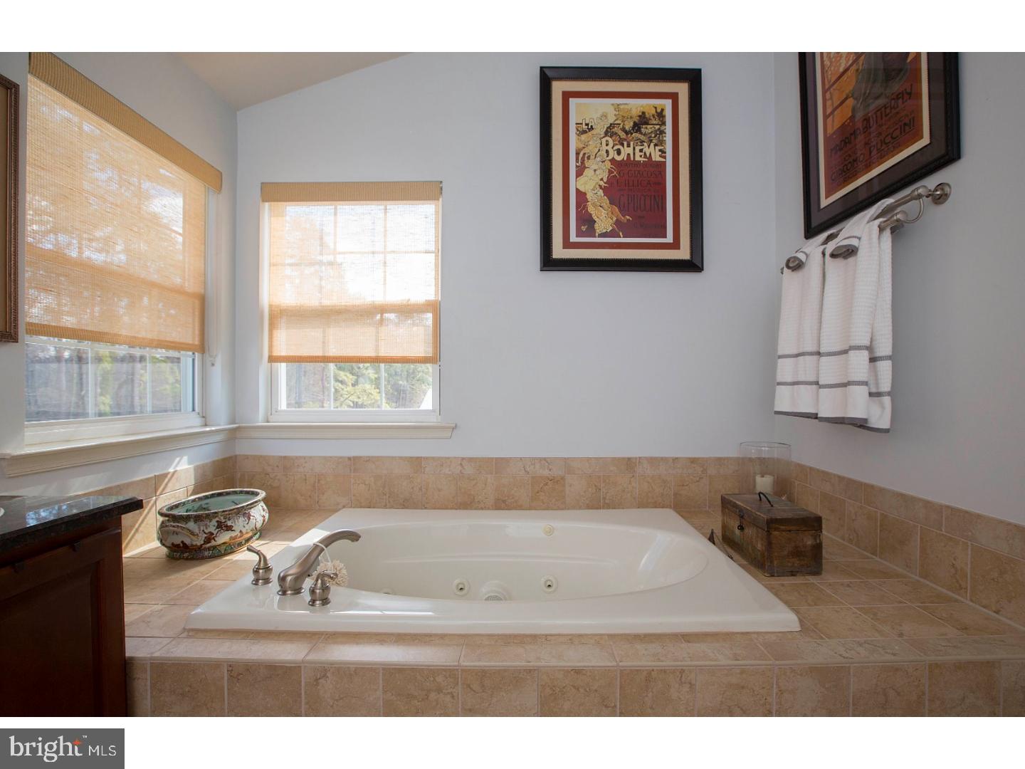 18 Box Turtle Lane Sicklerville, NJ 08081 - Photo 12 of 24 Master Bathroom