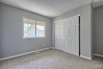 923 Chestnut Ridge Road Ballwin, MO 63021 - Photo 22 of 31 Gallery Image 22