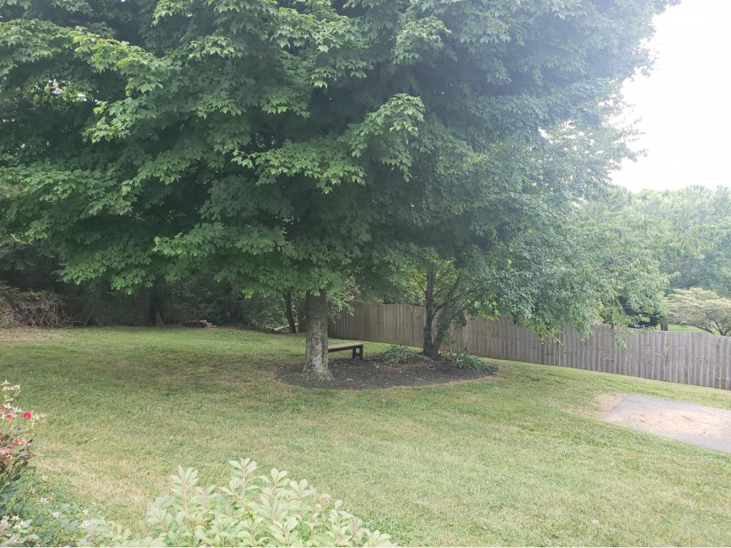 172 Blazerview Road Gray, TN 37615 - Photo 30 of 34 Photo 31