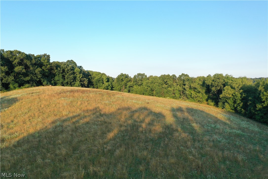 2575 Co Road Loudonville, OH 44842 - Photo 31 of 44 Expansive grassy hillside bordered by a dense tree line