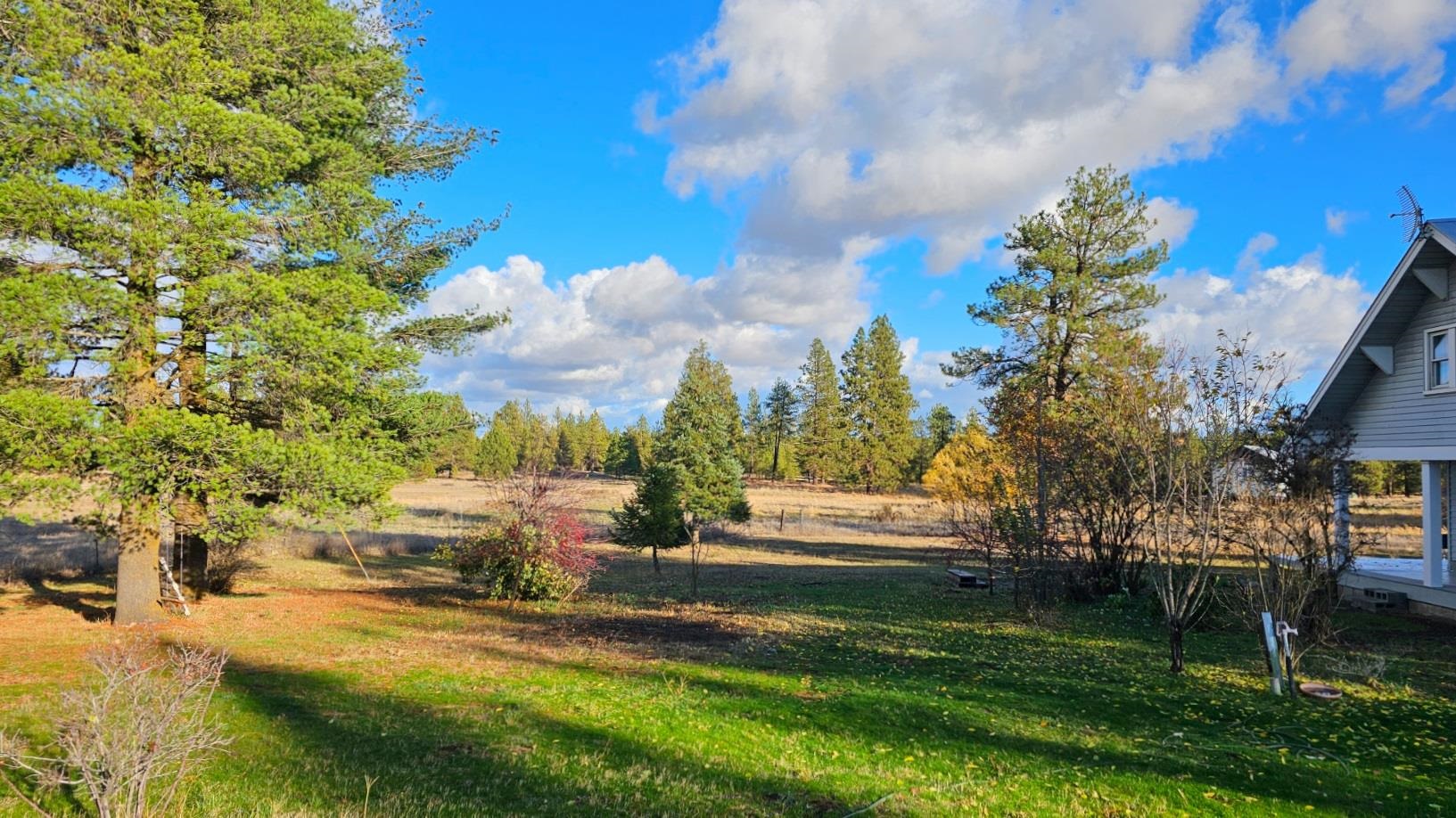 32311 South North Pine Creek Road Spangle, WA 99031 - Photo 43 of 45