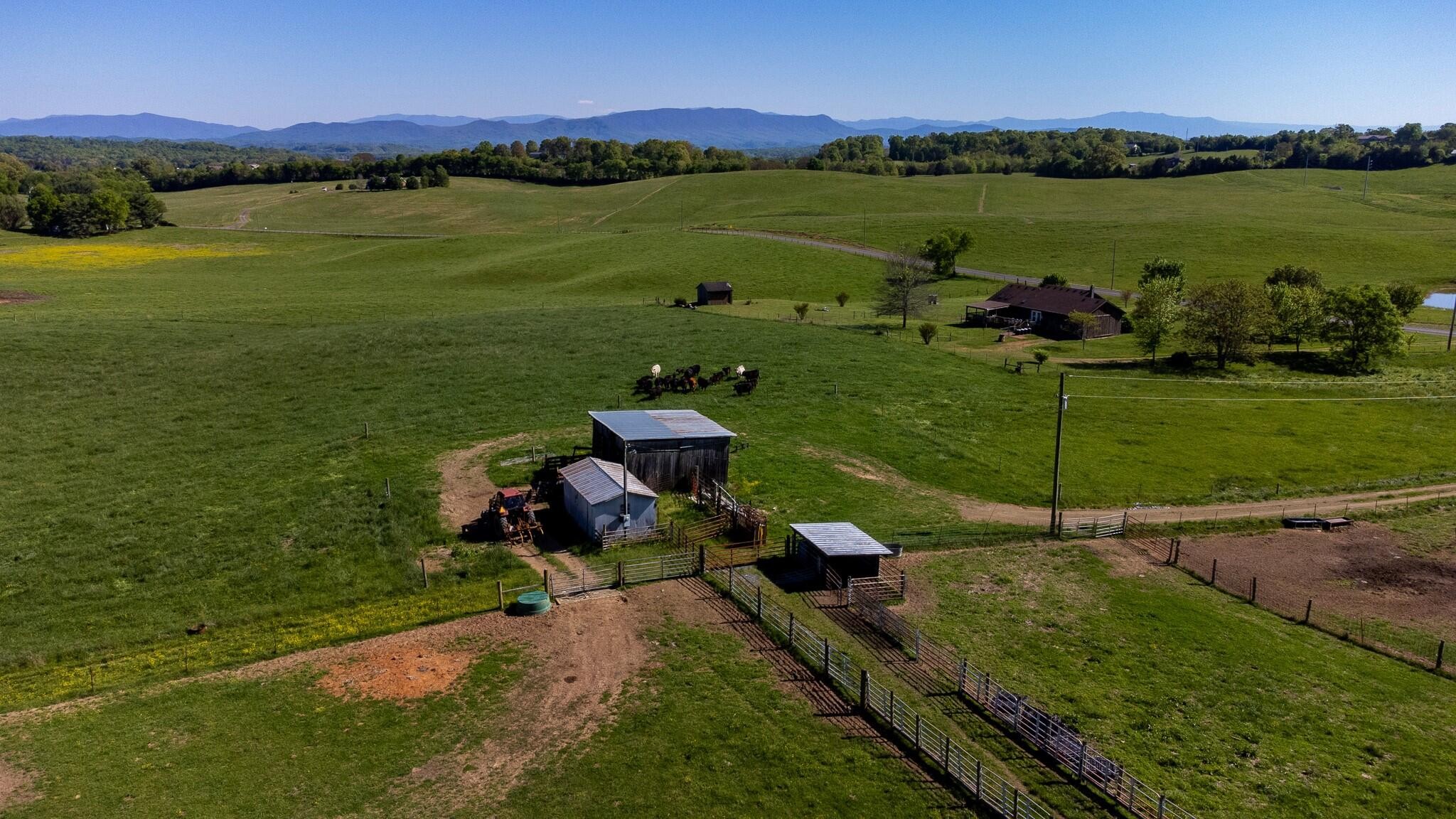3030 Falcon Road White Pine, TN 37890 - Photo 41 of 44 Gallery Image 41