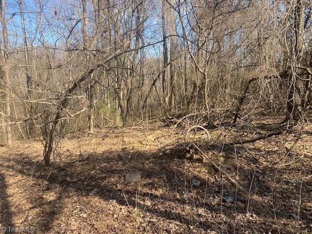 0 King Billings Road Elkin, NC 28621 - Photo 1 of 7 Gallery Image 1