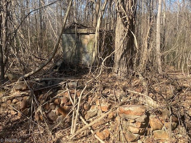 0 King Billings Road Elkin, NC 28621 - Photo 3 of 7 Gallery Image 3