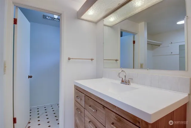 a bathroom with a sink a mirror and a shower
