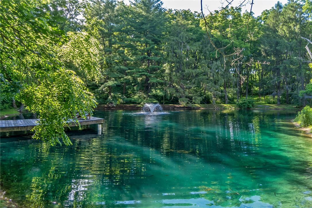 A tranquil spring-fed pond features a central fountain surrounded by dense mature woodlands.