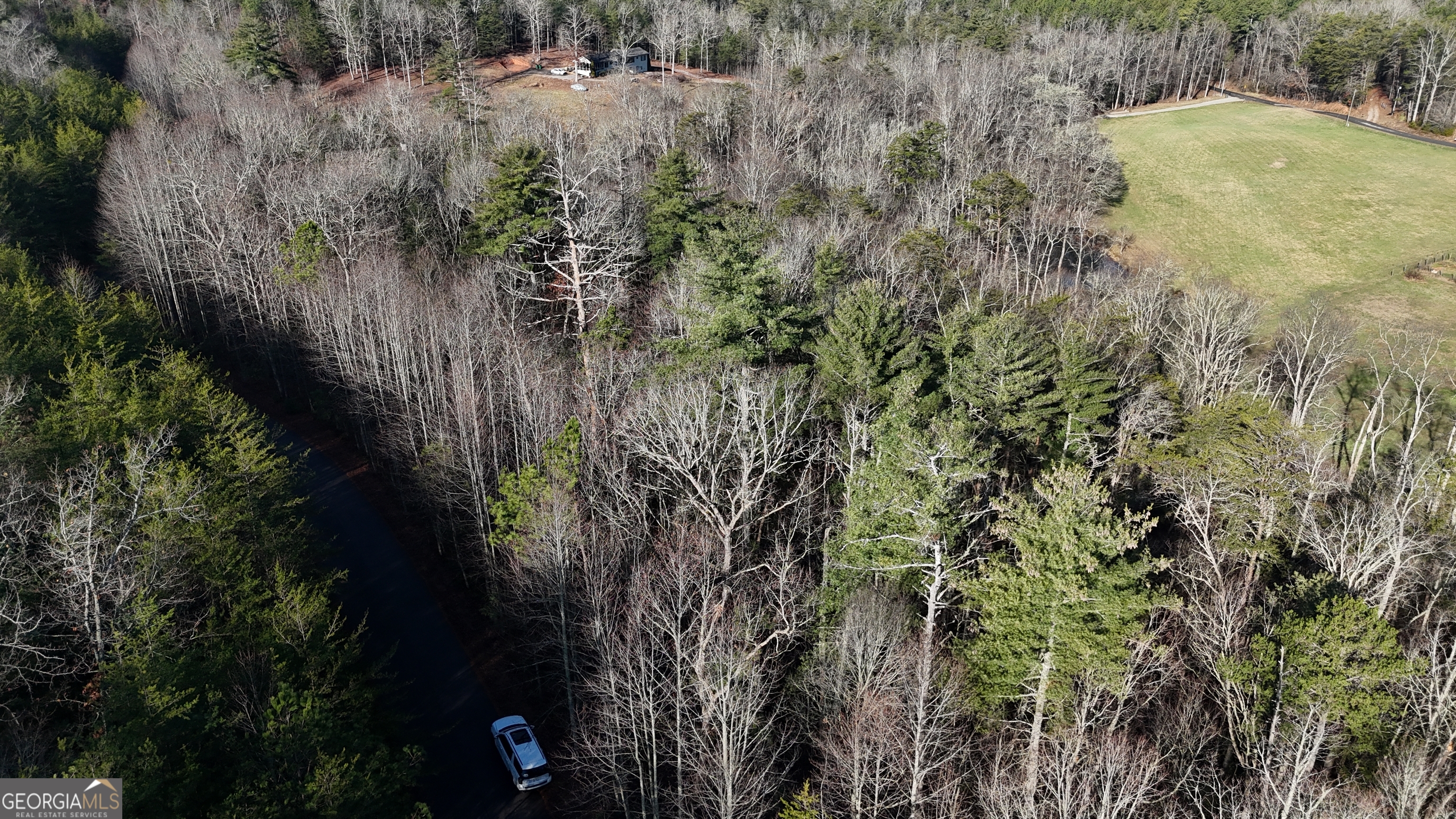 Lot 10 Gold Ditch Road Cleveland, GA 30528 - Photo 2 of 6