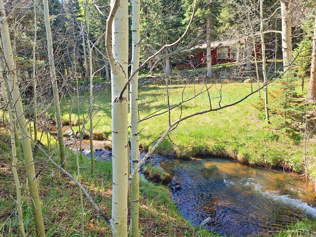 114 Silvercliffe Drive Rye, CO 81069 - Photo 2 of 13