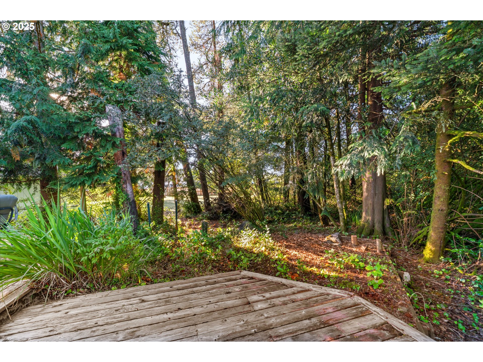 11465 Evergreen Way Nehalem, OR 97131 - Photo 32 of 47