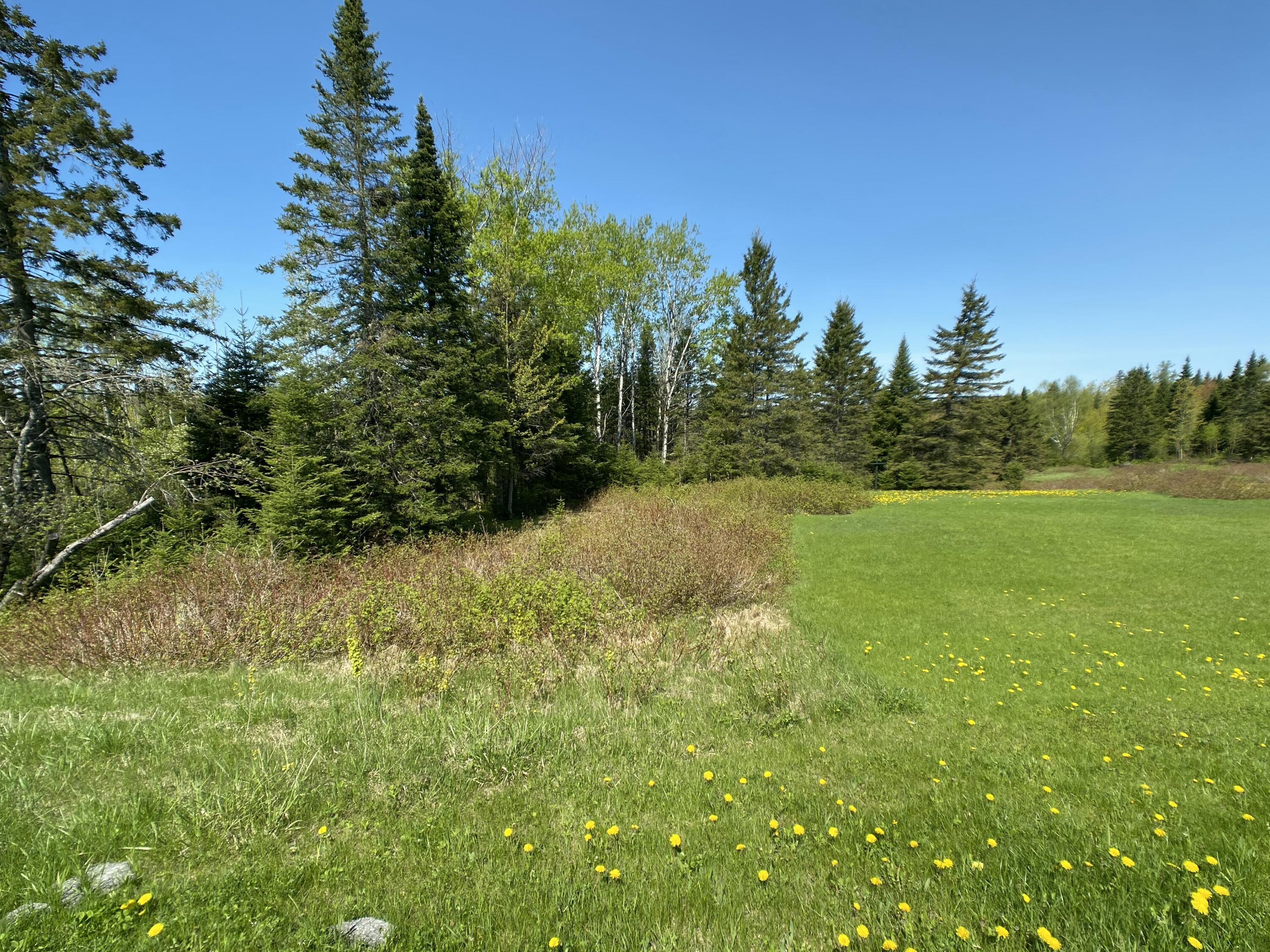 4-31 Caribou Road Presque Isle, ME 04769 - Photo 8 of 19