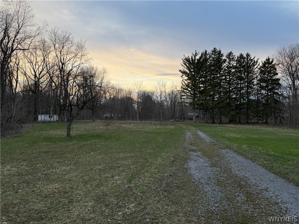 4880 Ransom Road Clarence, NY 14031 - Photo 9 of 15
