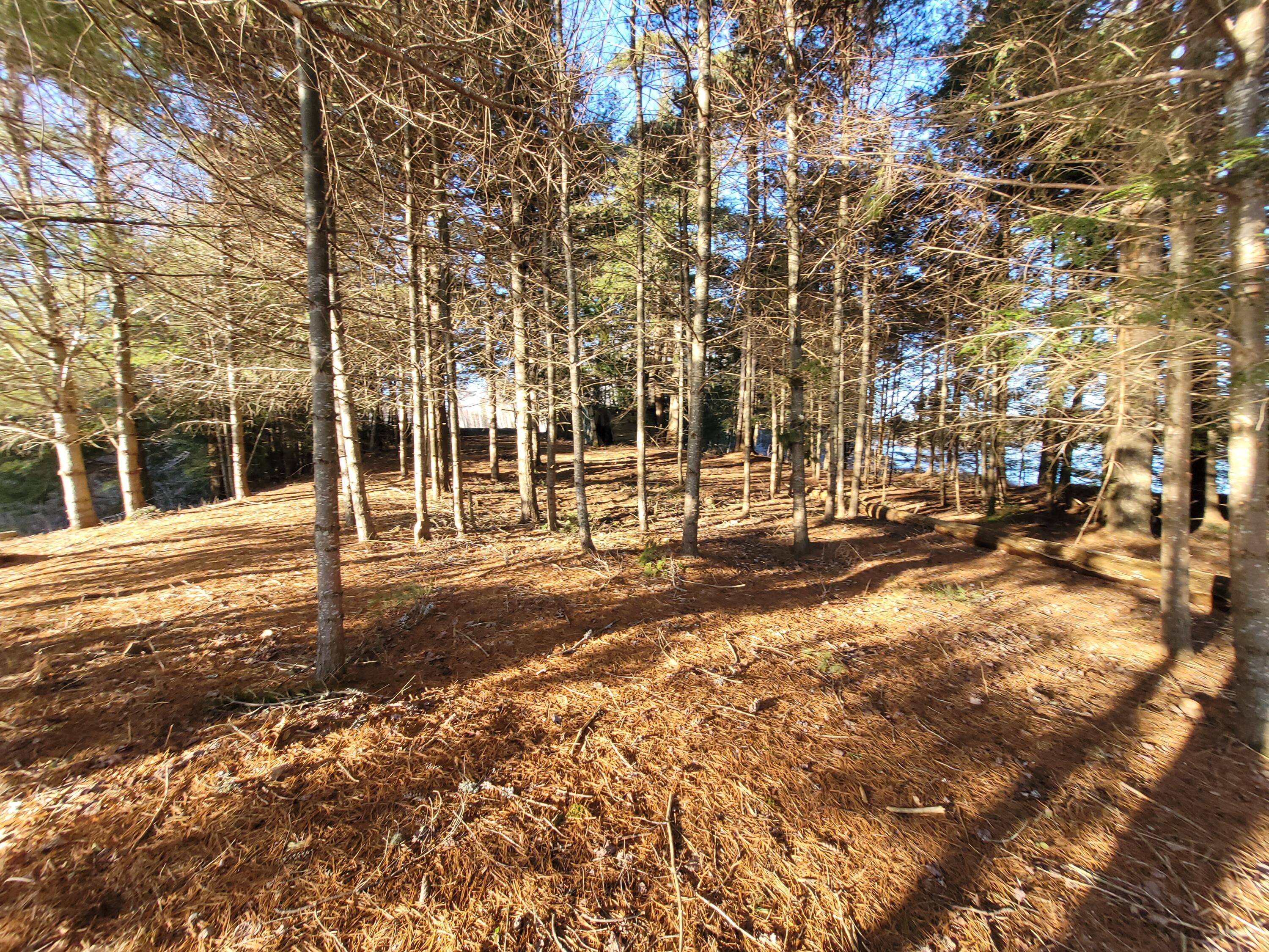 0 Middle Pond Road Clifton, ME 04428 - Photo 8 of 30 20240112_144731