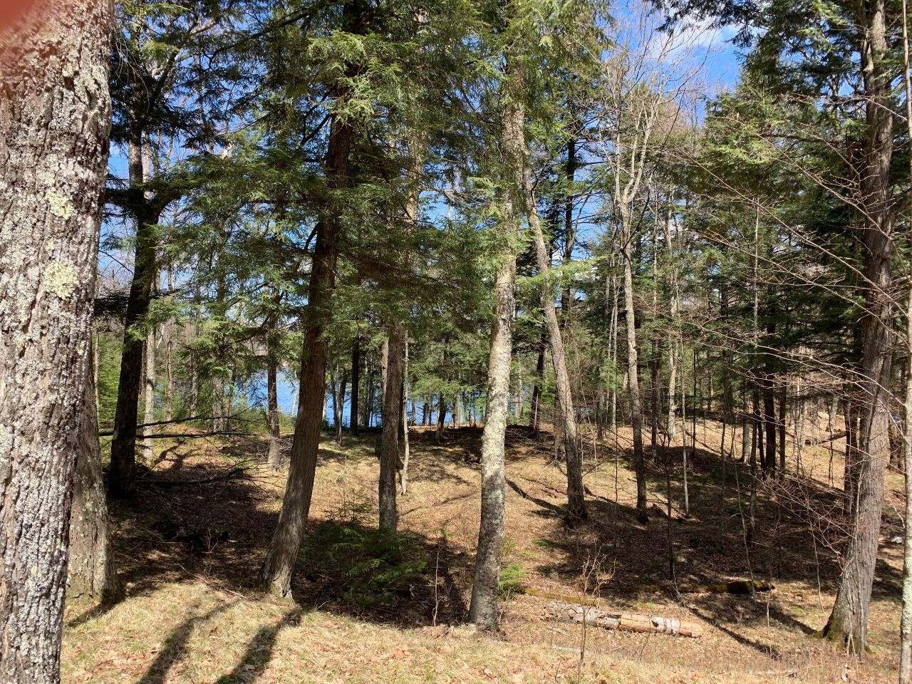 5159 Feely Lake Road Mercer, WI 54547 - Photo 10 of 14 Gallery Image 10