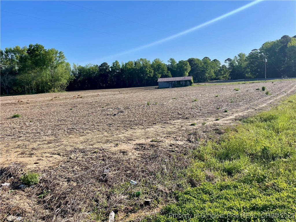 Dew Road Rowland, NC 28383 - Photo 3 of 4 a view of a field with trees in the background