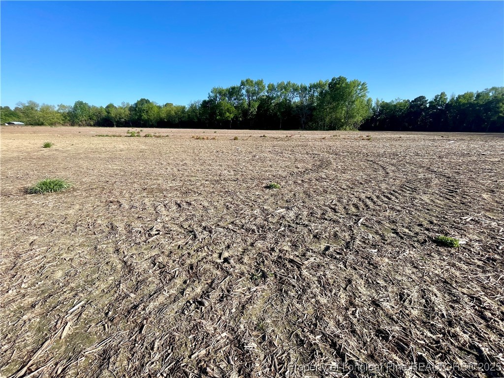 Dew Road Rowland, NC 28383 - Photo 4 of 4 a view of an outdoor space and a lake view