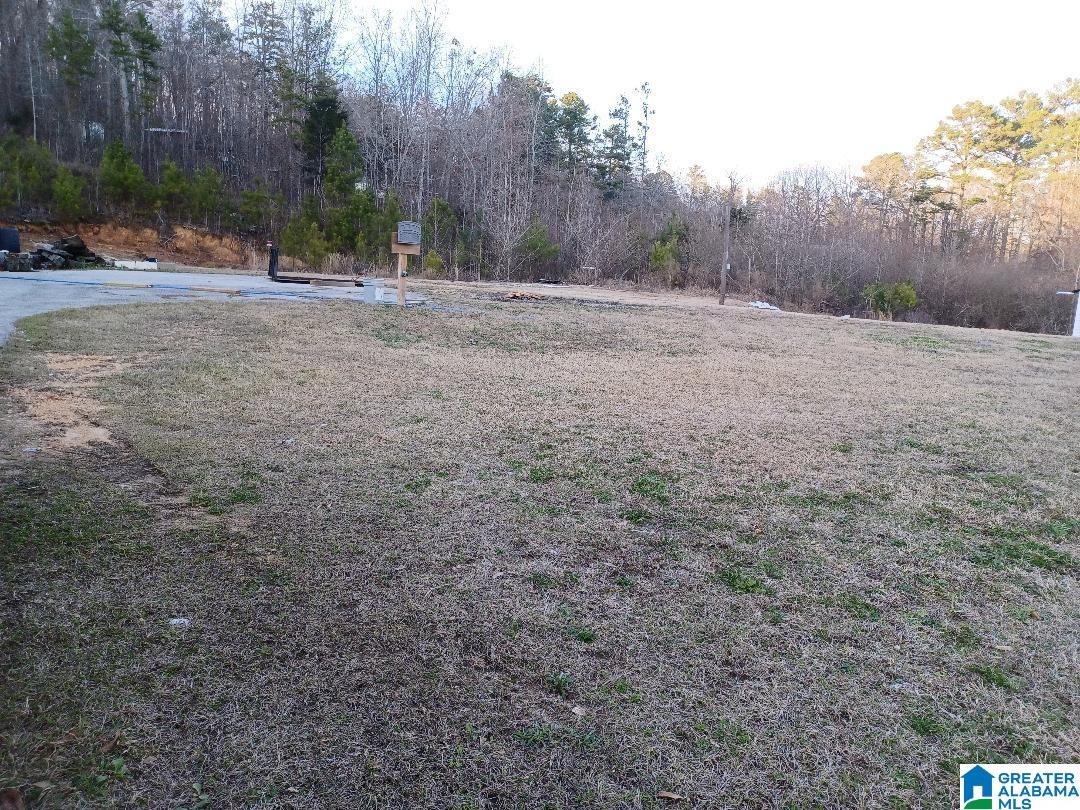 1883 Pleasant Valley Road Odenville, AL 35120 - Photo 3 of 9