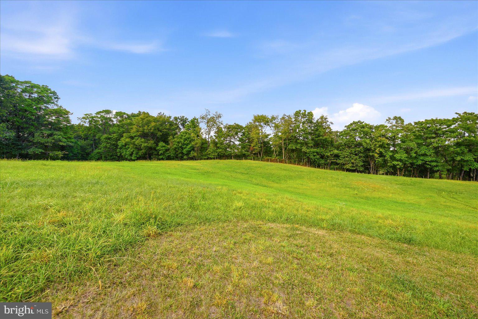 531 Cedar Grove Road Winchester, VA 22603 - Photo 68 of 83 Gallery Image 68