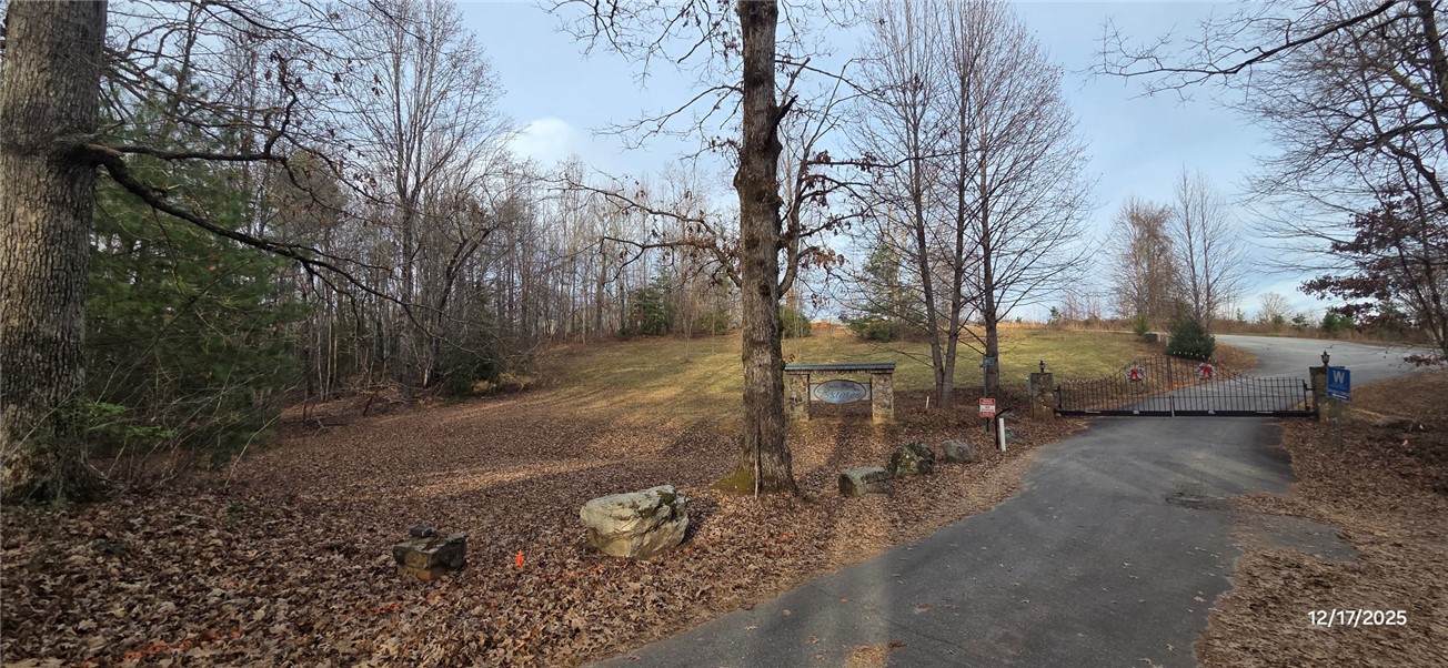 1 Lenore B Lane Mountain Rest, SC 29664 - Photo 22 of 30