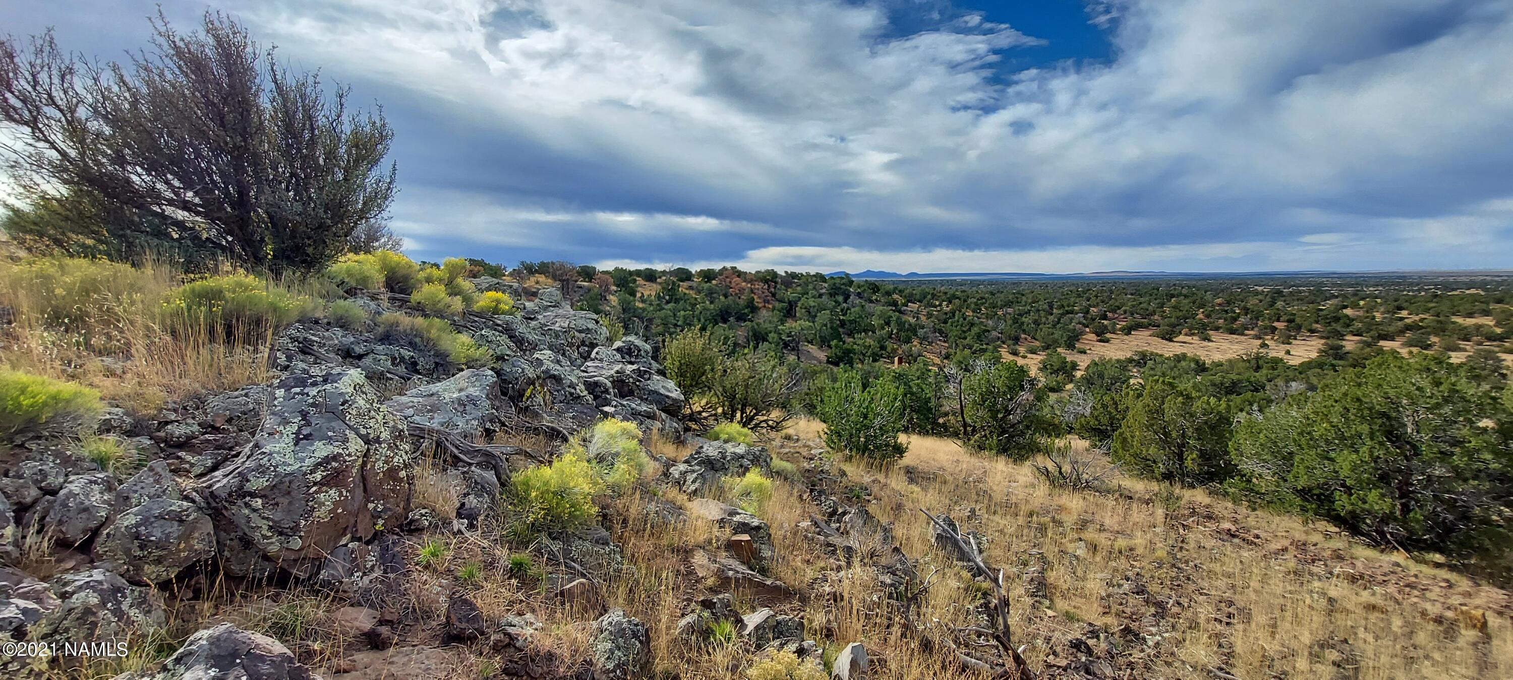 6707 North S Rim Ranch Road, Unit 255 Williams, AZ 86046 - Photo 8 of 63 20211102_100345