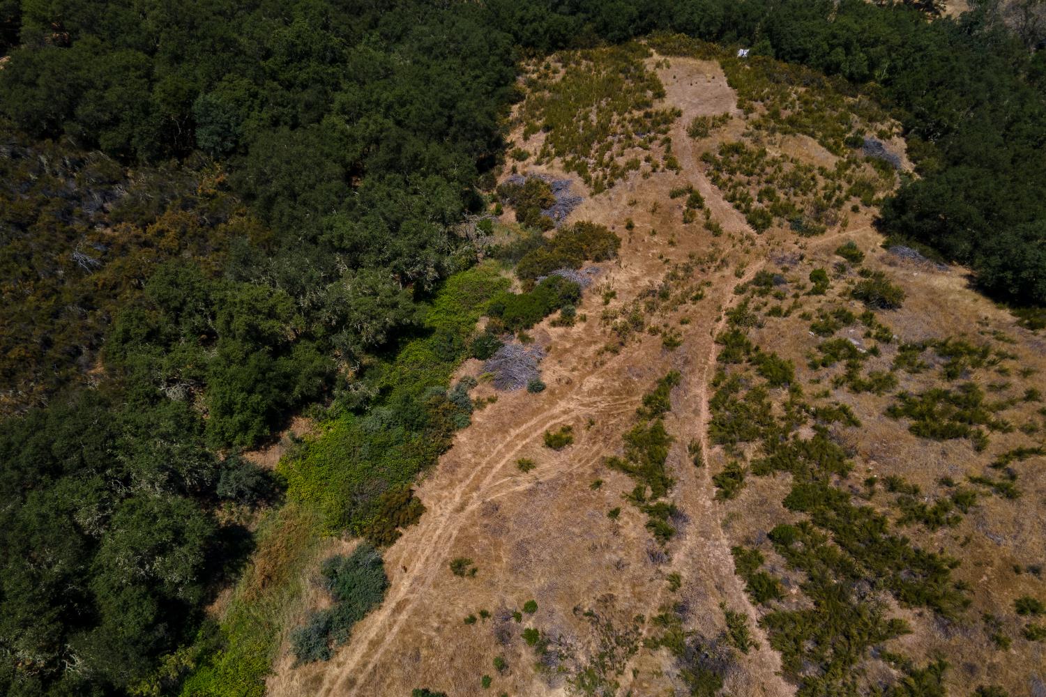 0 Stony Creek Road Ione, CA 95640 - Photo 46 of 70