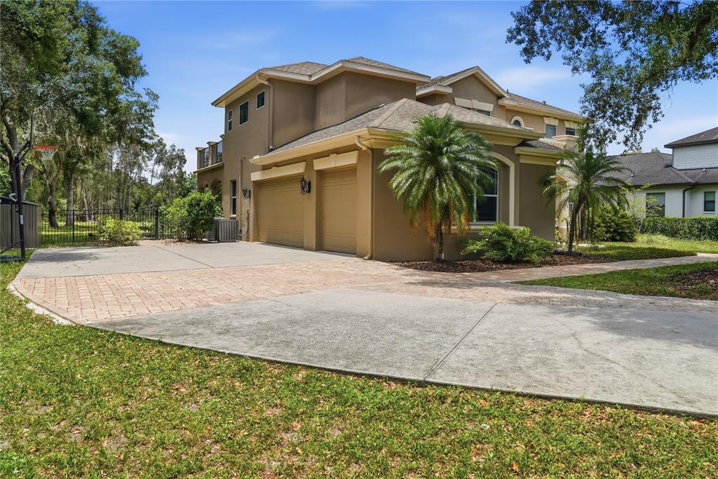 9244 Rhea Drive Odessa, FL 33556 - Photo 46 of 57