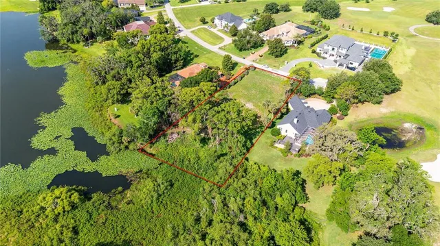 a view of flowers in a garden