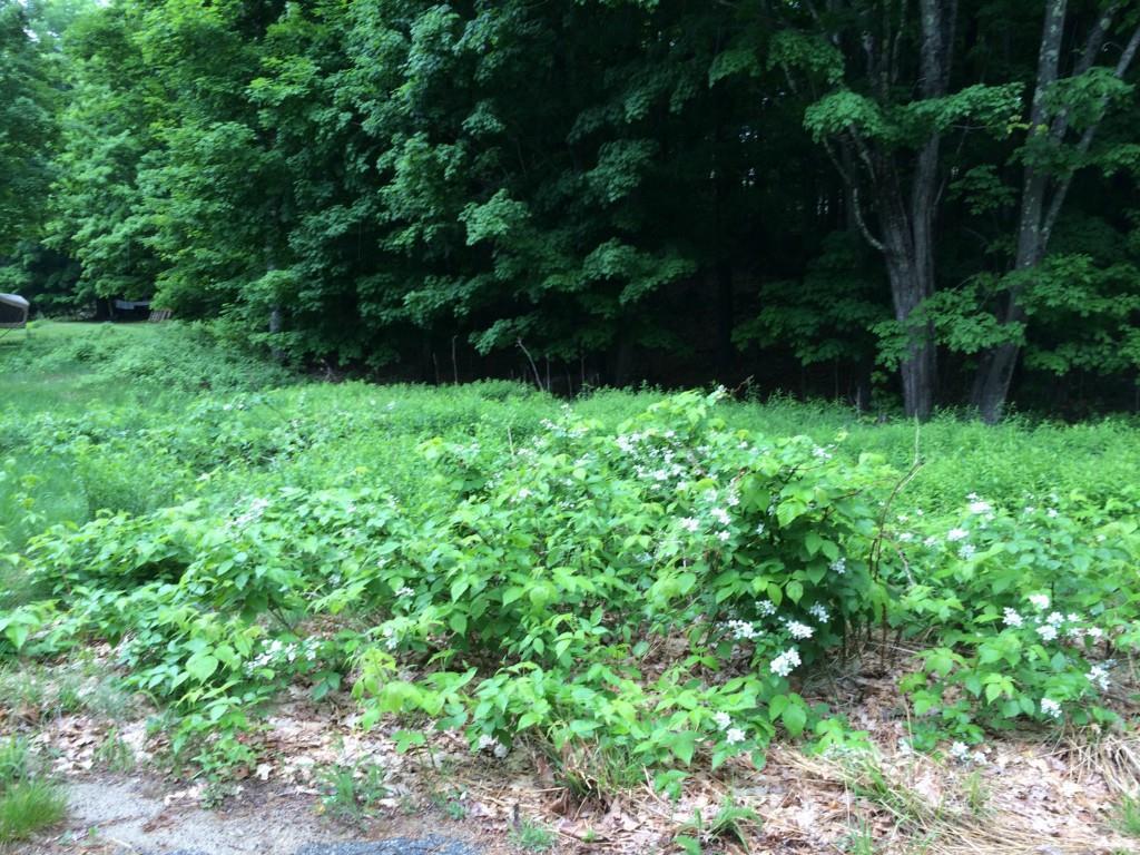 Lot 0 West Gray Road Gray, ME 04039 - Photo 6 of 13 200 West Gray Road