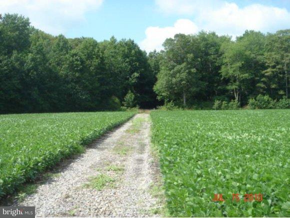 Layton Corners Road Harrington, DE 19952 - Photo 1 of 8 Gallery Image 1