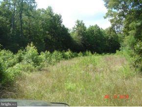 Layton Corners Road Harrington, DE 19952 - Photo 2 of 8 Gallery Image 2