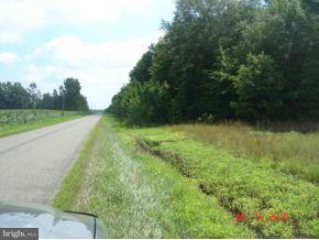 Layton Corners Road Harrington, DE 19952 - Photo 3 of 8 Gallery Image 3
