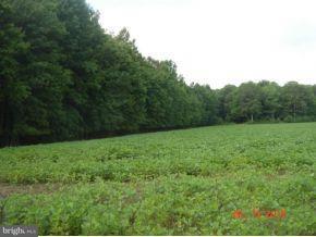 Layton Corners Road Harrington, DE 19952 - Photo 6 of 8 Gallery Image 6