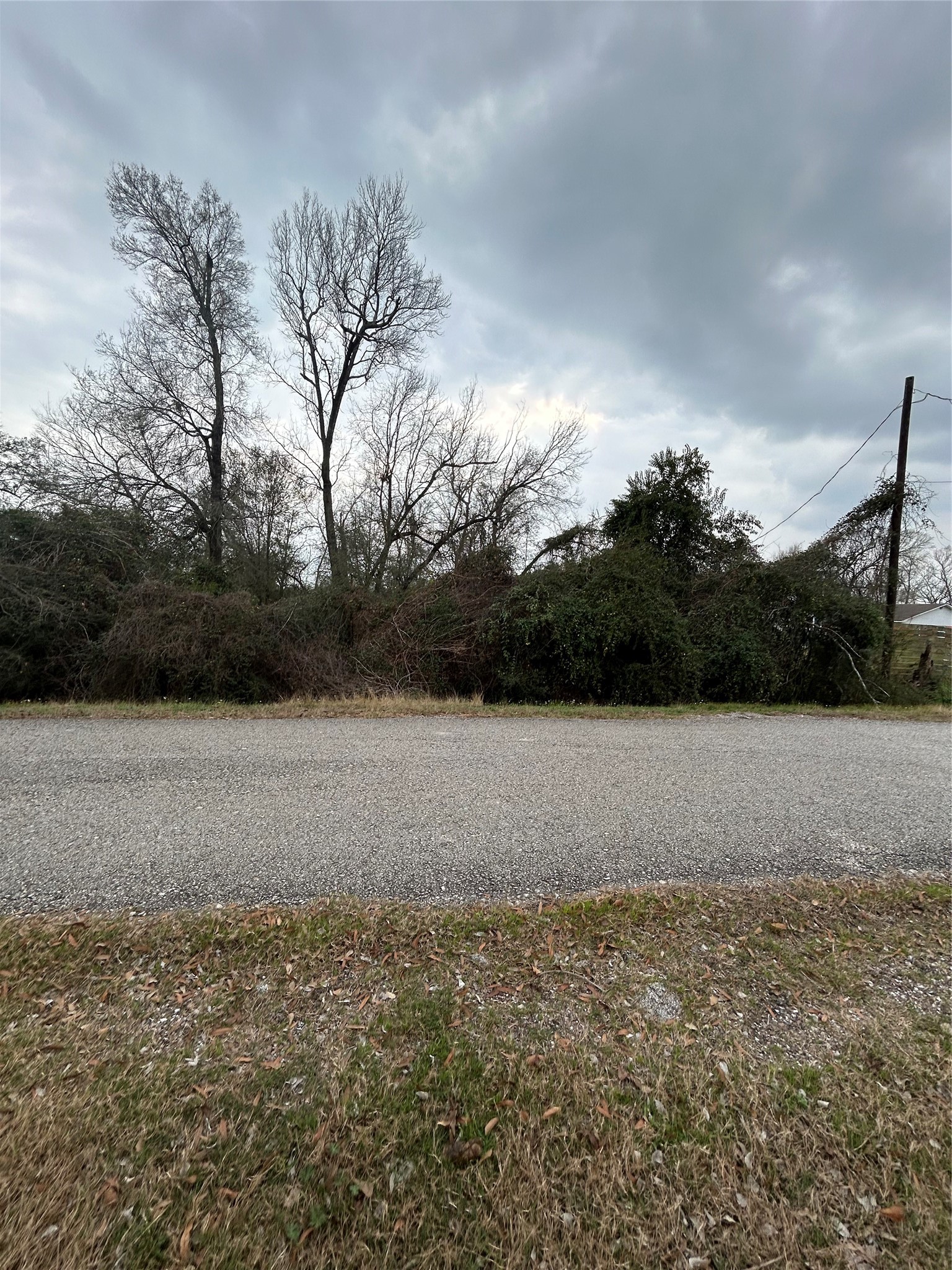 0 Pin Oak Drive Highlands, TX 77562 - Photo 2 of 6