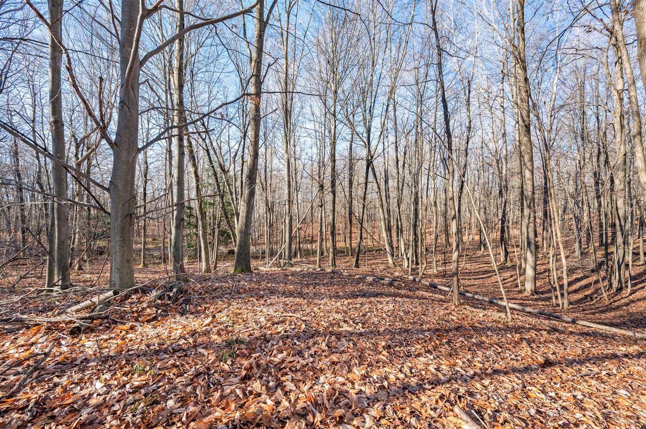 1597 South Saddler Road Luther, MI 49656 - Photo 36 of 38
