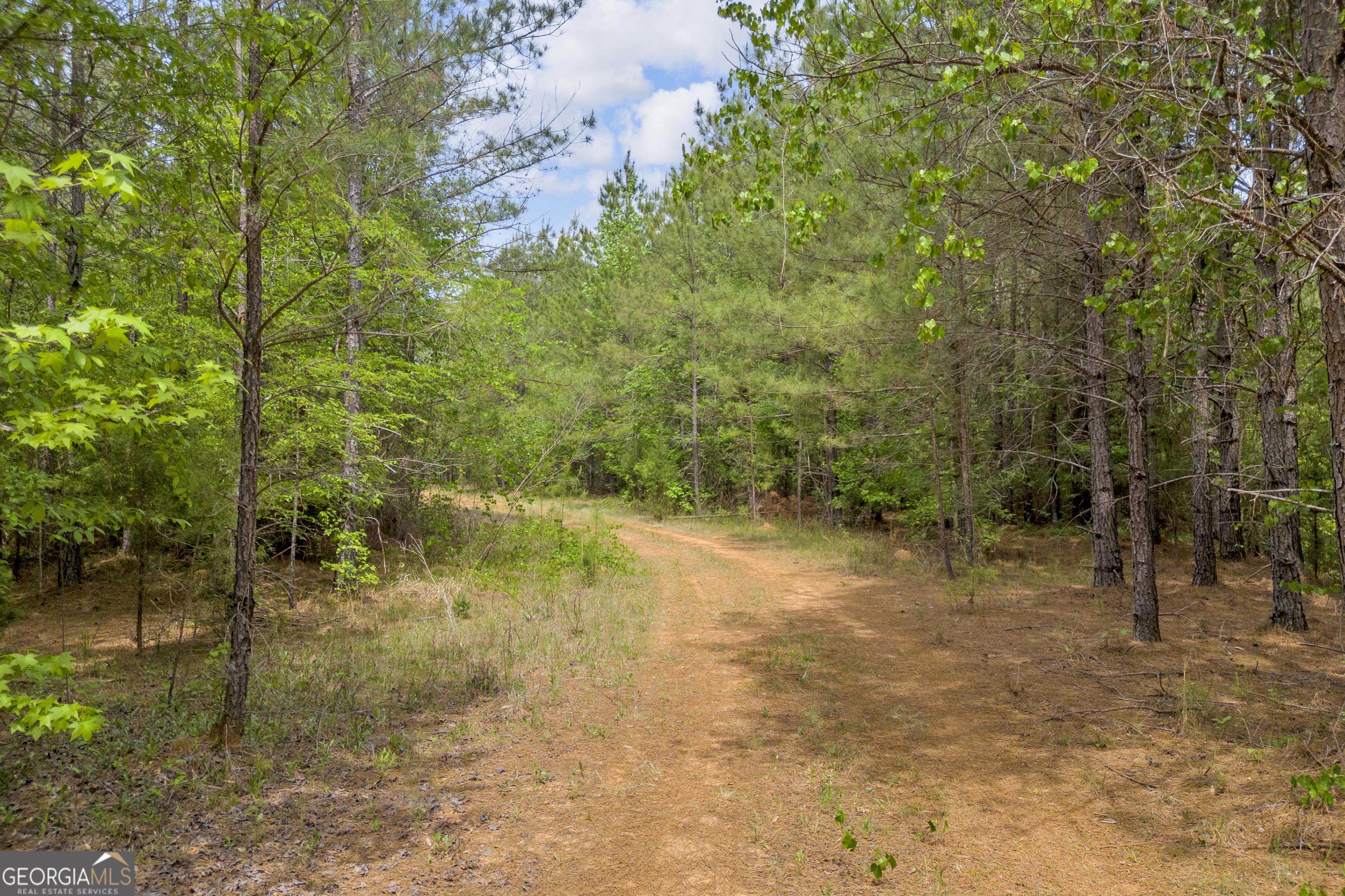 0 Upper Mill Road Northeast Crawfordville, GA 30631 - Photo 1 of 29 a backyard of a house with lots of green space