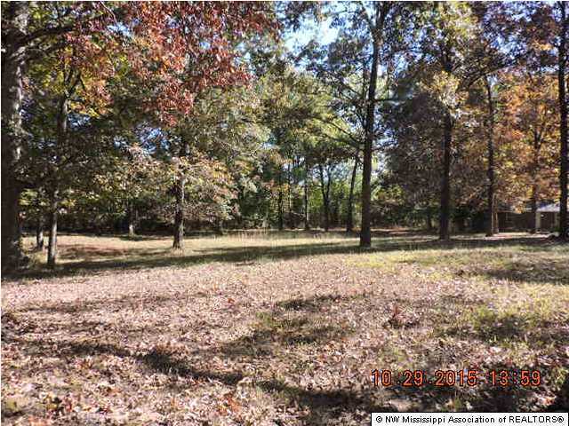 4165 Byhalia Road Hernando, MS 38632 - Photo 4 of 19 Additional Photo