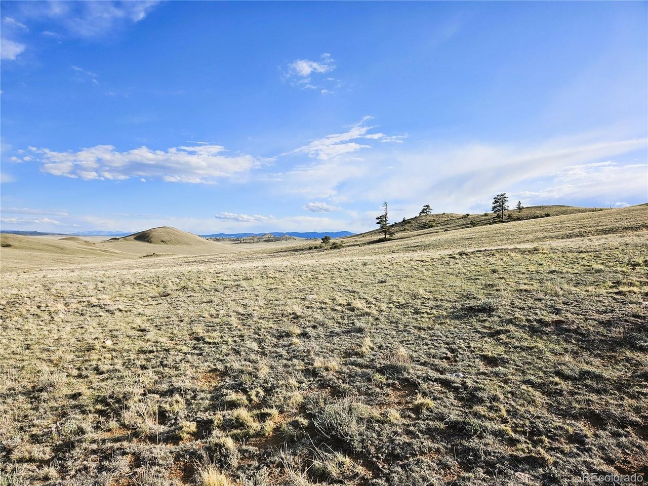 24142 Antero Road Hartsel, CO 80449 - Photo 5 of 48