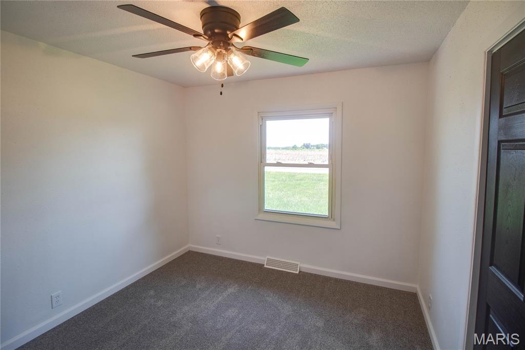 507 Walnut Street Hillsboro, IL 62049 - Photo 21 of 32
