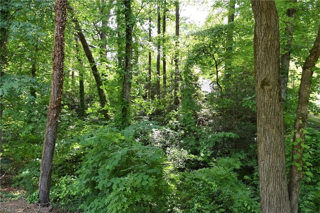 245 Country Club Road Mount Airy, NC 27030 - Photo 3 of 25 Wooded front yard looking toward home from street.