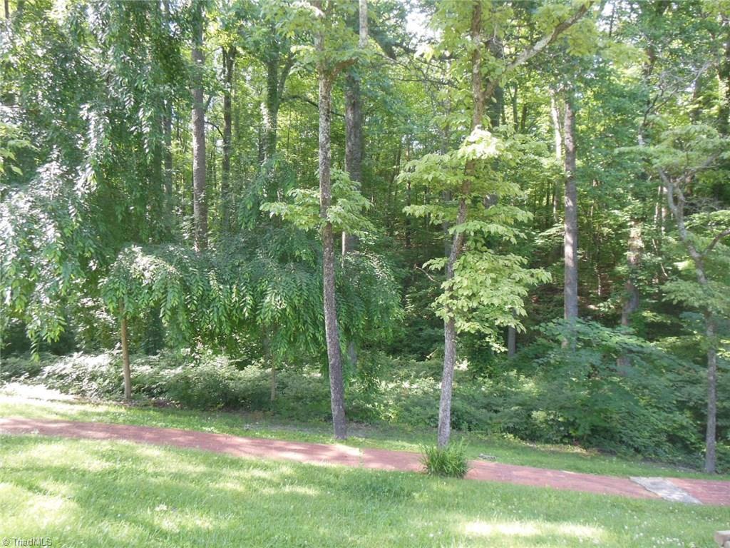 245 Country Club Road Mount Airy, NC 27030 - Photo 8 of 25 Wooded and secluded back yard.