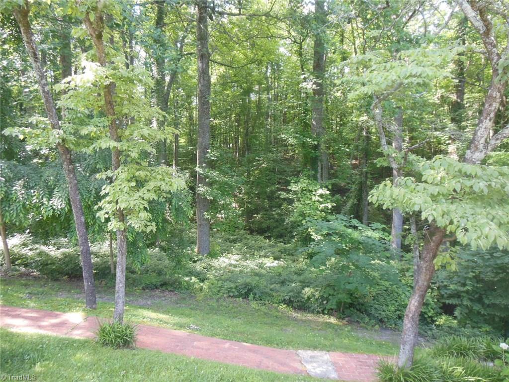 245 Country Club Road Mount Airy, NC 27030 - Photo 9 of 25 More of wooded and secluded back yard with walking path.